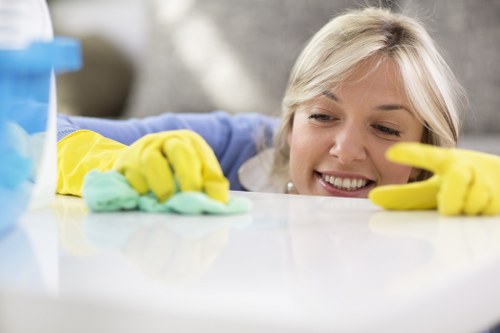 Fresh spill cleanup for stain removal on fabric
