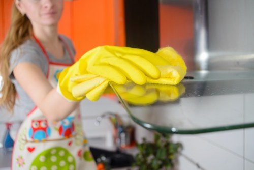 Enzyme cleaner being applied for pet stain odour removal