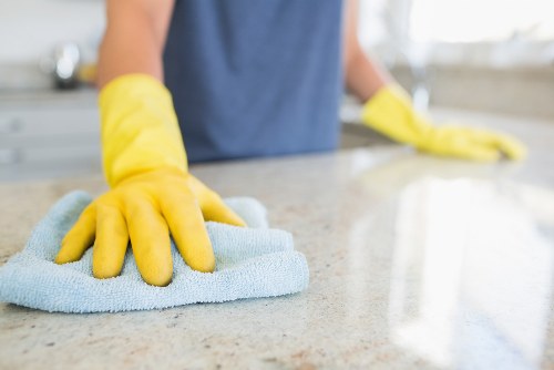 Professional-style stain removal tools for home cleaning